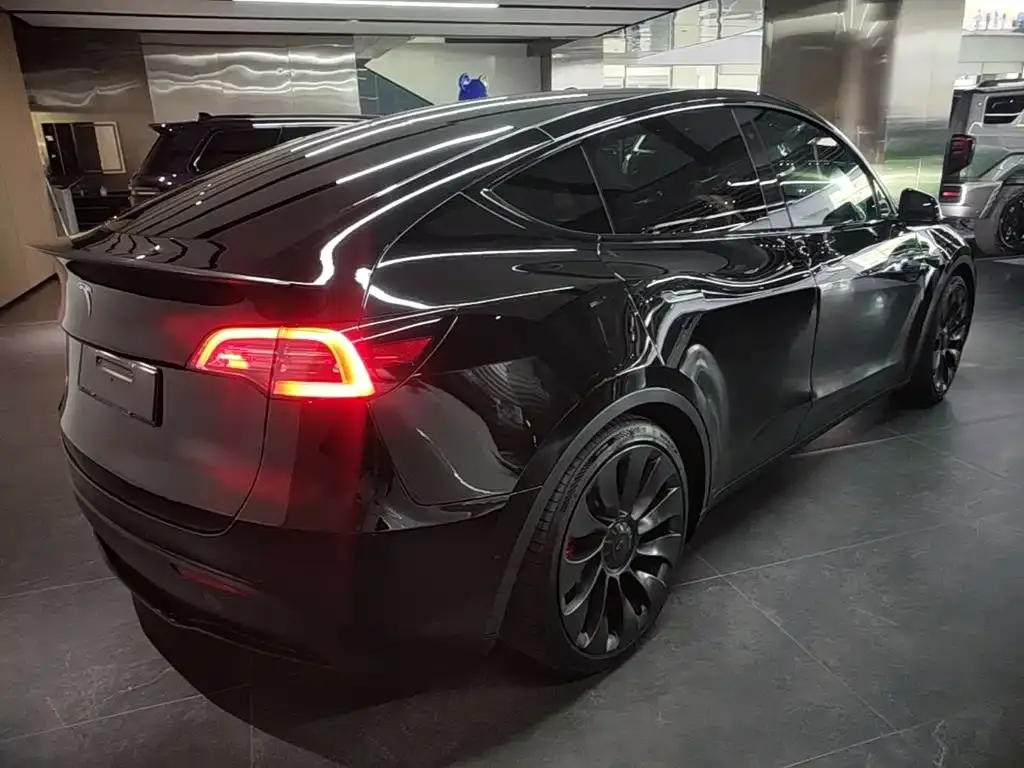 Tesla Model Y — фото 2