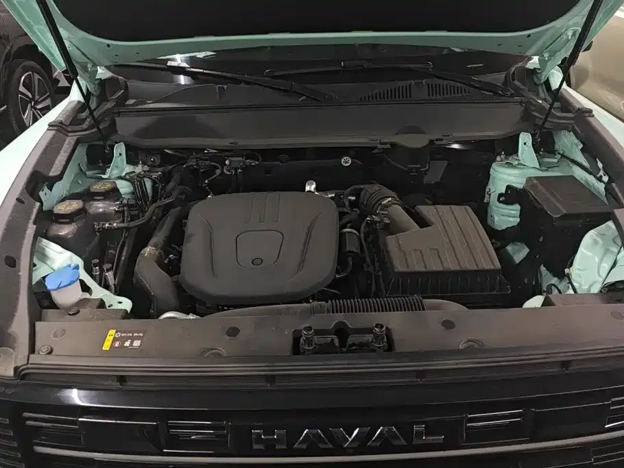 Haval 长城猛龙 PLUS — фото 5