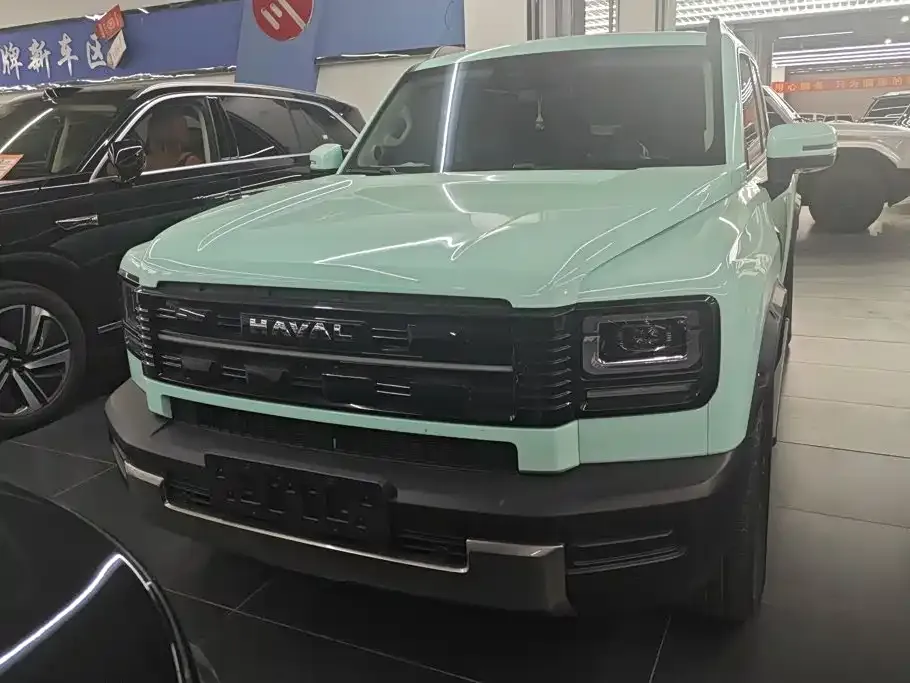 Haval 长城猛龙 PLUS — фото 6