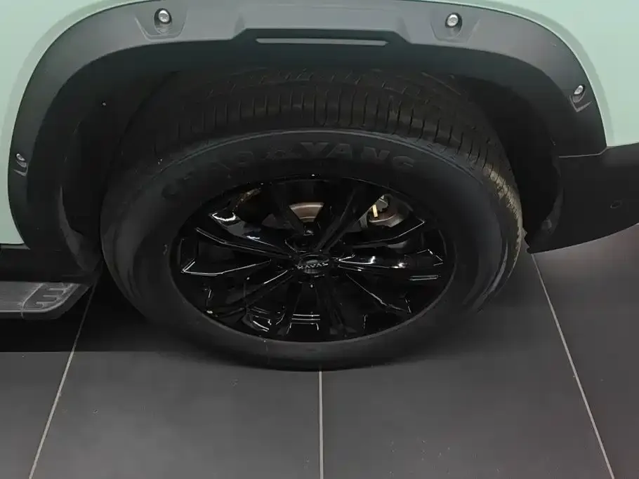 Haval 长城猛龙 PLUS — фото 3