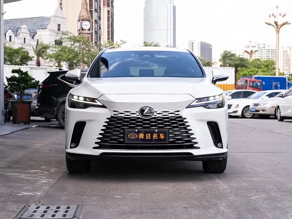 Lexus RX — фото 10