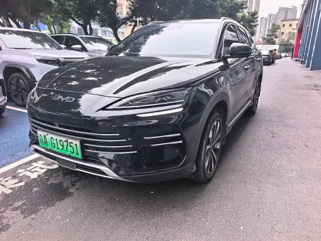 BYD PLUS New Energy — фото 1
