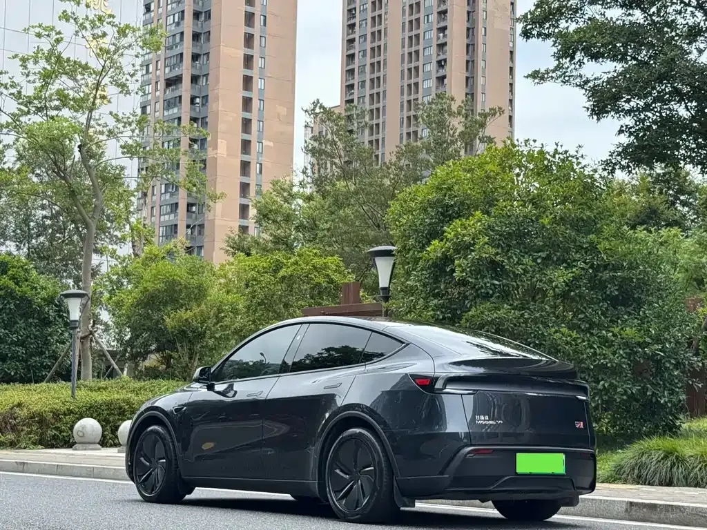 Tesla Model Y — фото 9