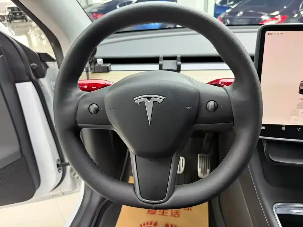 Tesla Model Y — фото 9