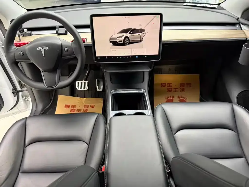 Tesla Model Y — фото 10