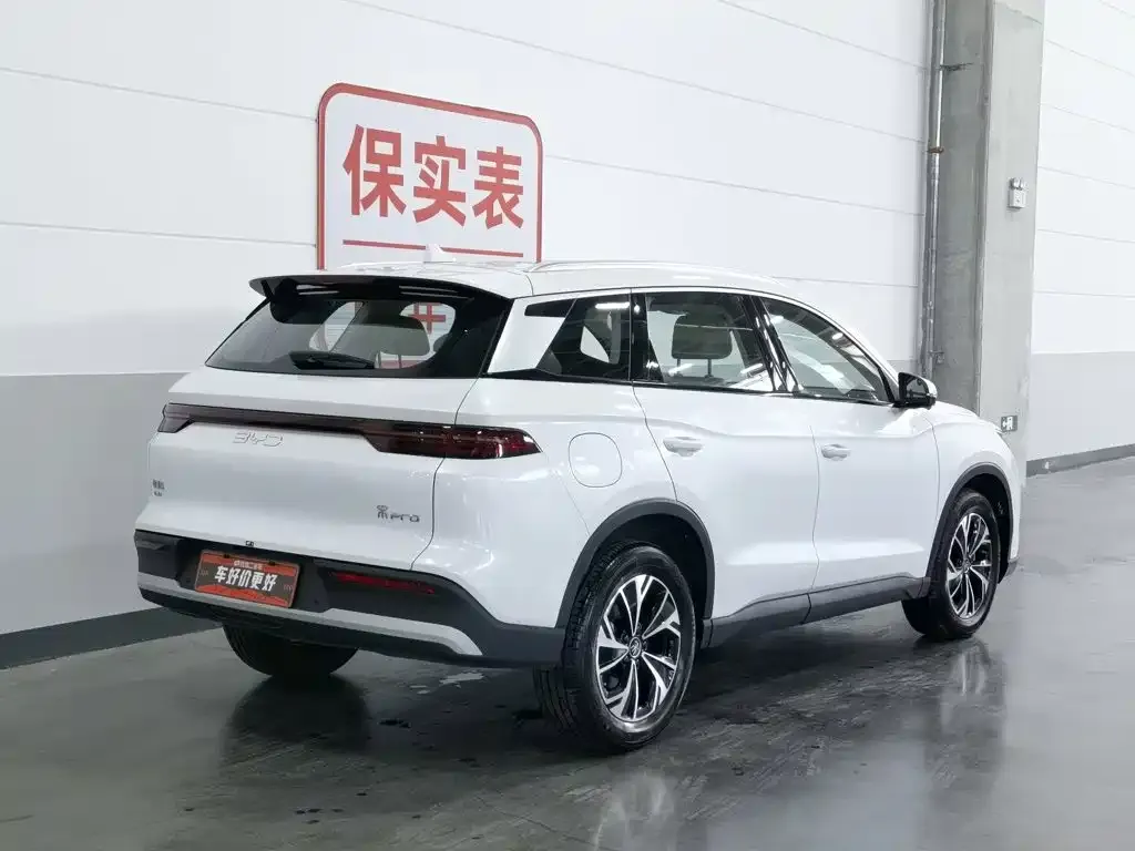 BYD Pro New Energy — фото 9