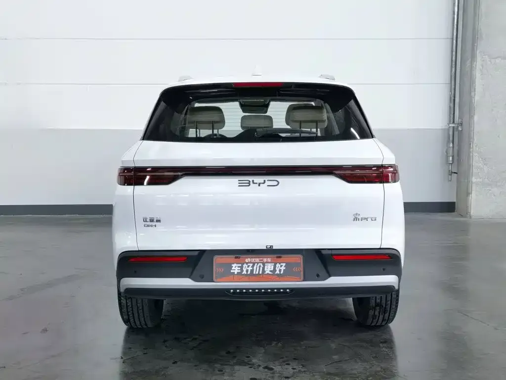 BYD Pro New Energy — фото 3