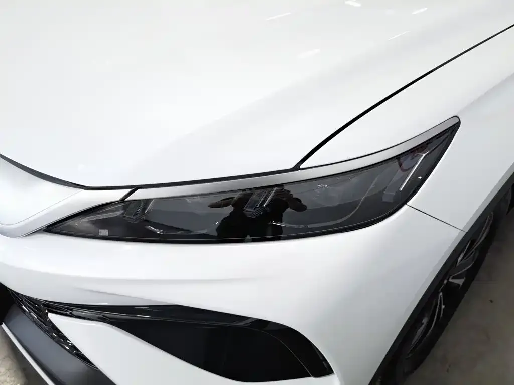 BYD Pro New Energy — фото 2