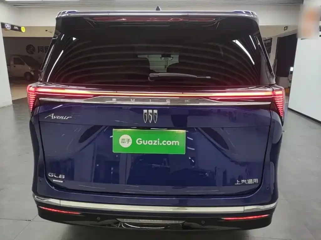 Buick GL8 Hybrid — фото 6