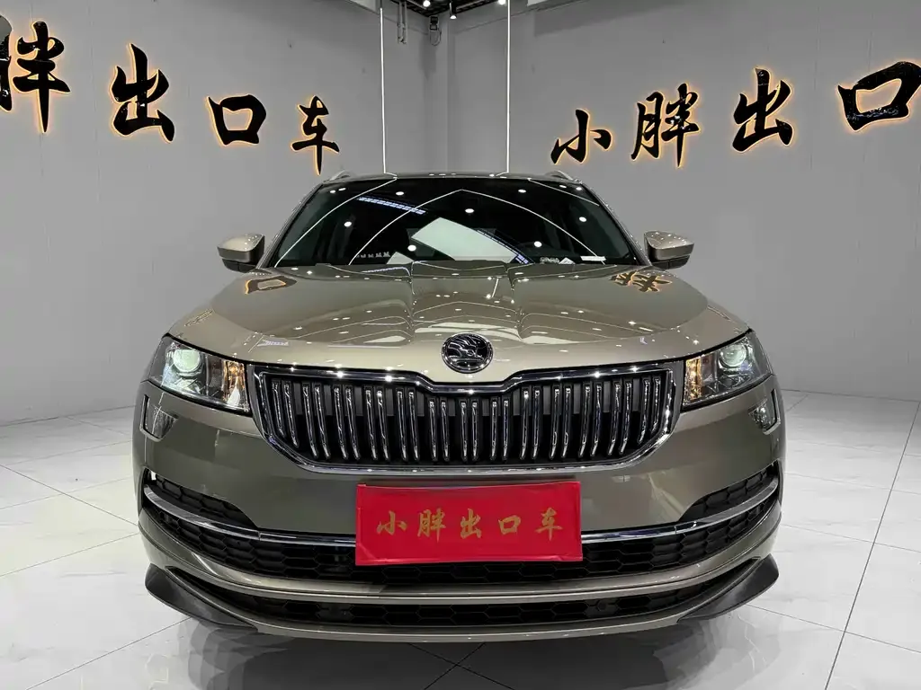 Skoda Karoq — фото 4