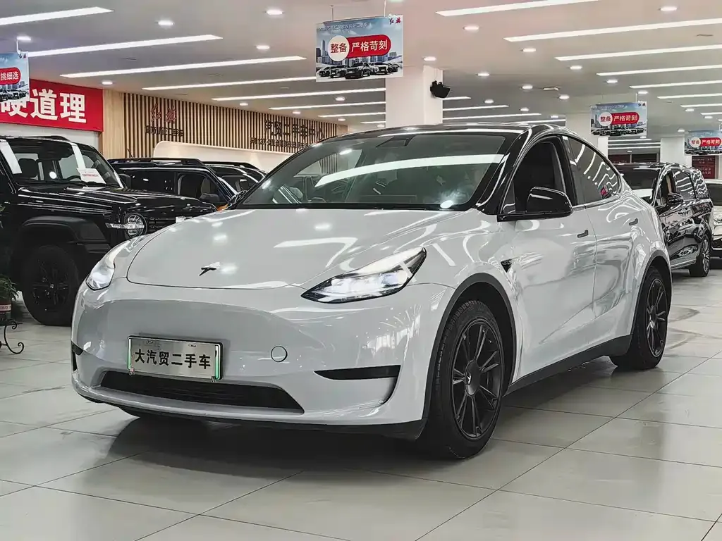 Tesla Model Y — фото 1