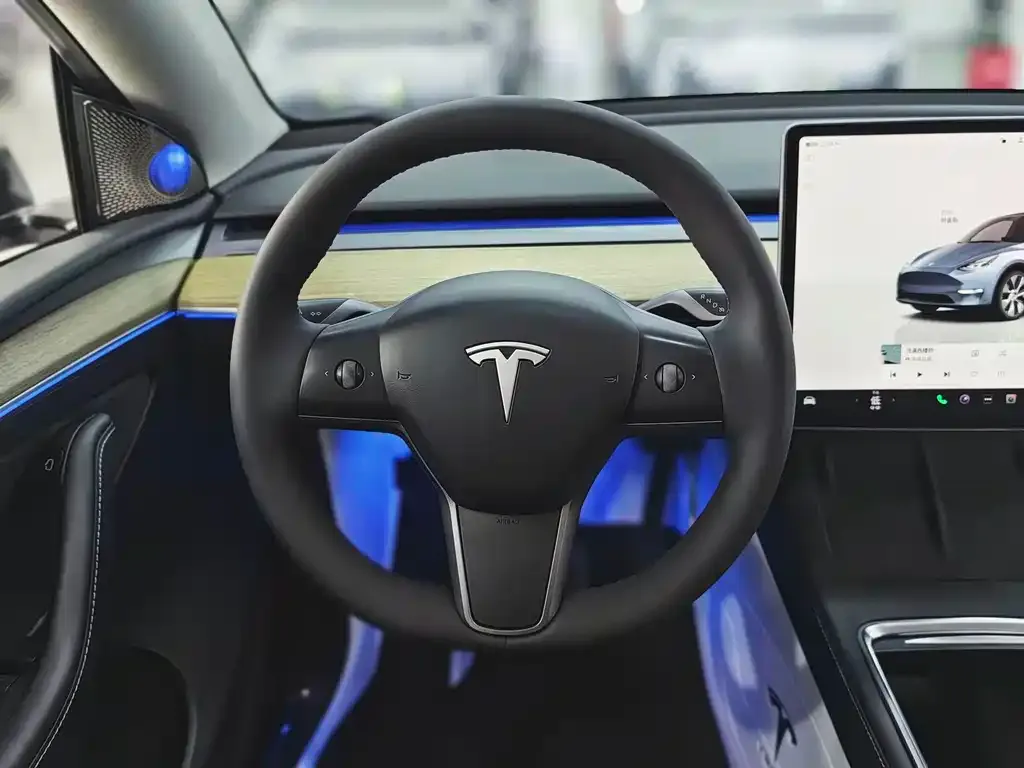 Tesla Model Y — фото 2