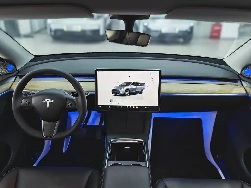 Tesla Model Y — фото 9
