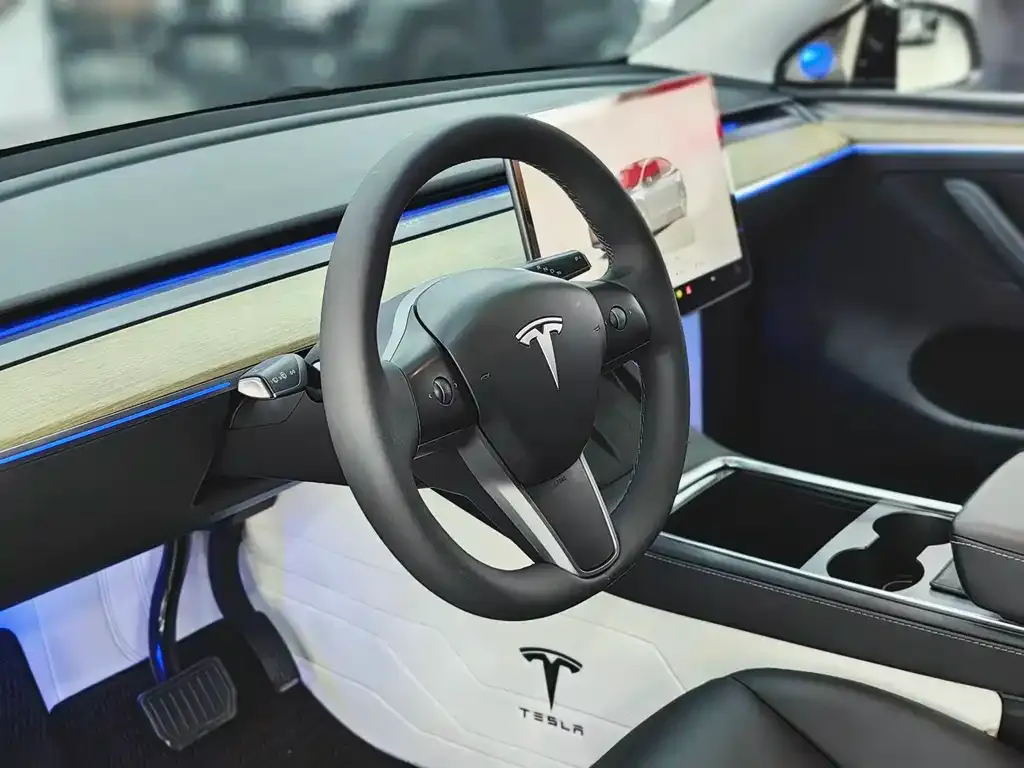 Tesla Model Y — фото 10