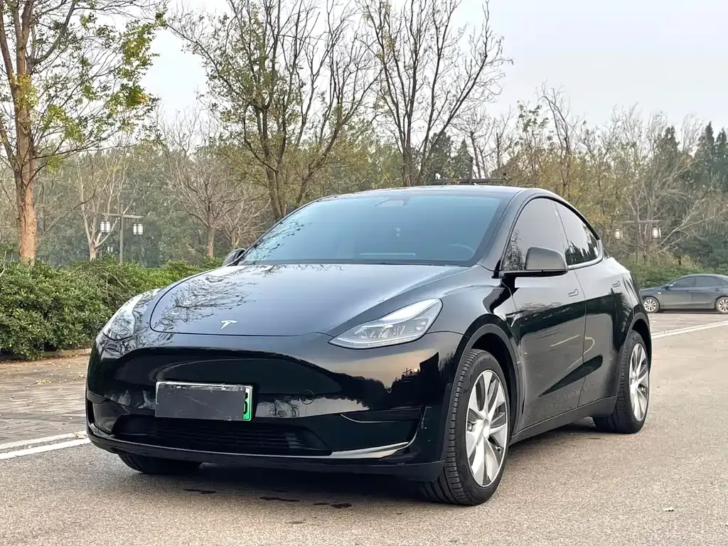 Tesla Model Y — фото 1