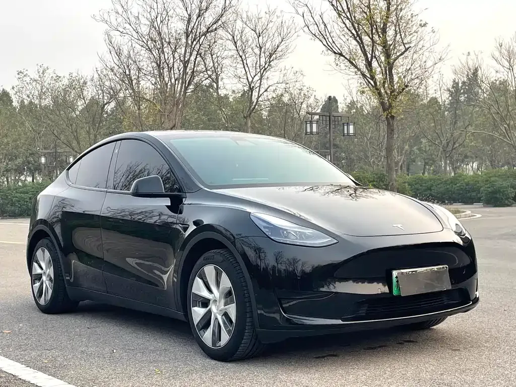 Tesla Model Y — фото 5