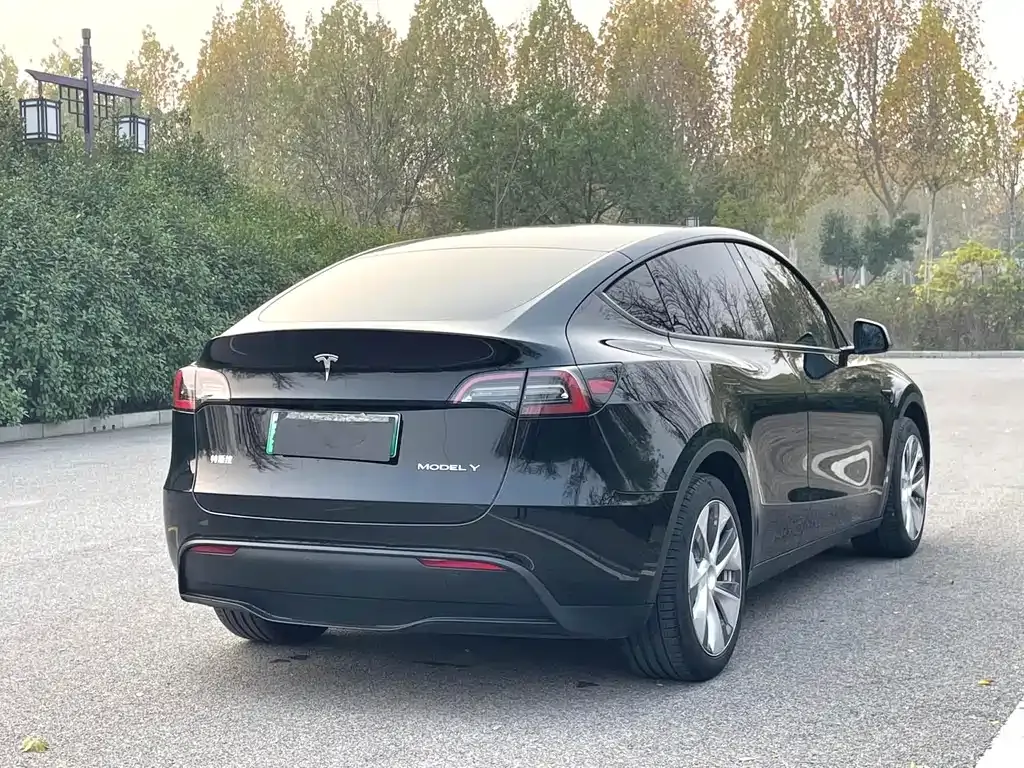 Tesla Model Y — фото 6