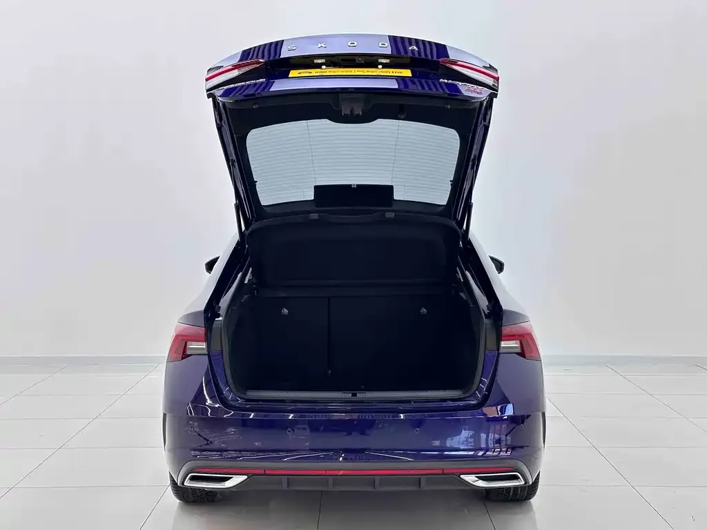 Skoda Octavia 2021 из CN, фото 5