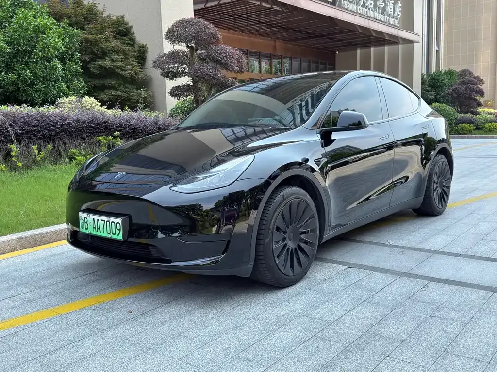 Tesla Model Y — фото 1