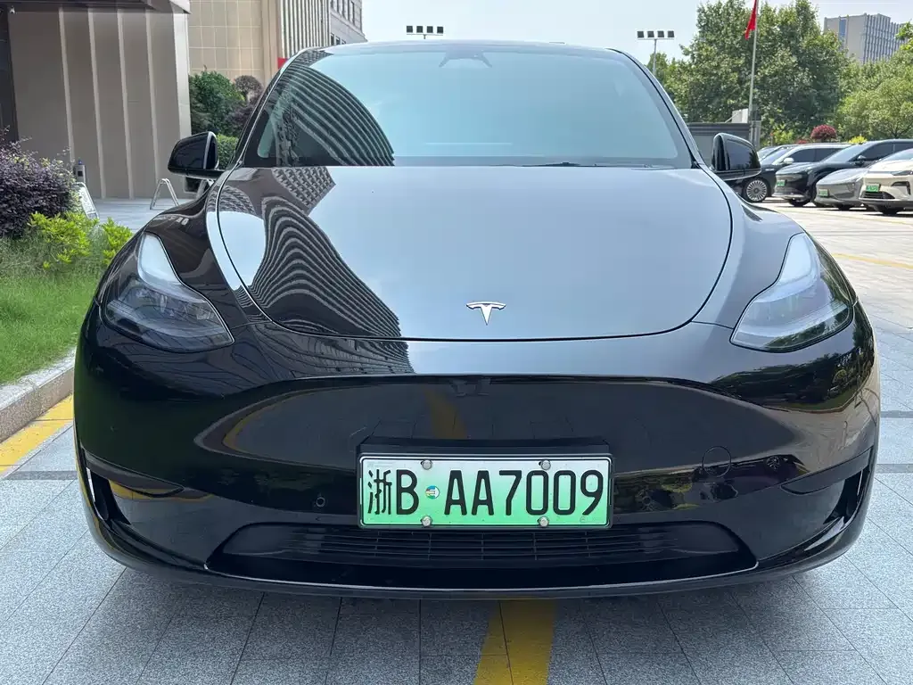 Tesla Model Y — фото 5