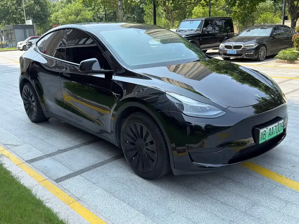 Tesla Model Y — фото 10