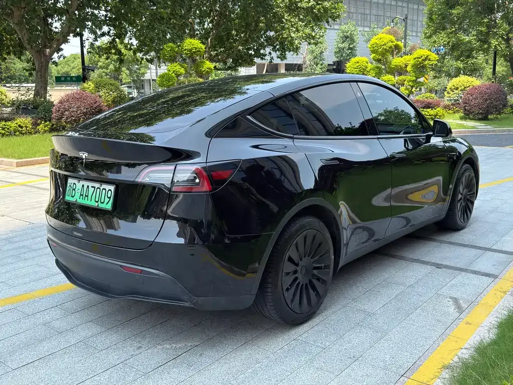 Tesla Model Y — фото 3