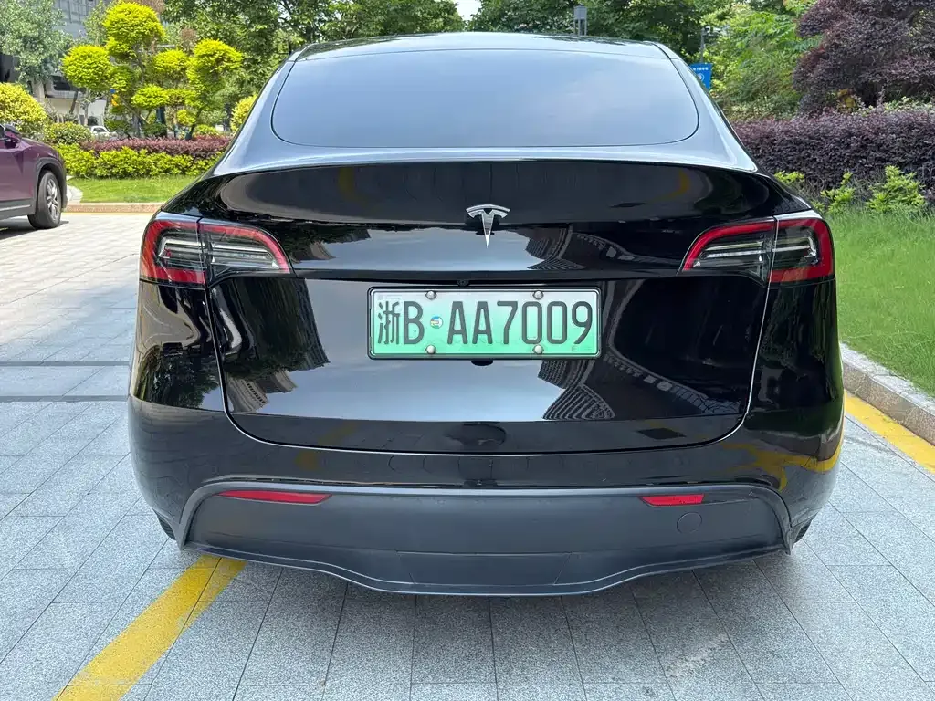 Tesla Model Y — фото 7