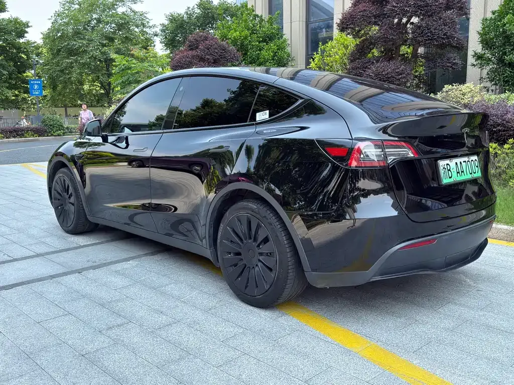 Tesla Model Y — фото 9