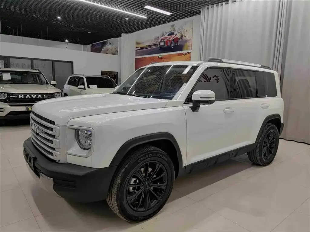 Haval Menglong New Energy — фото 1