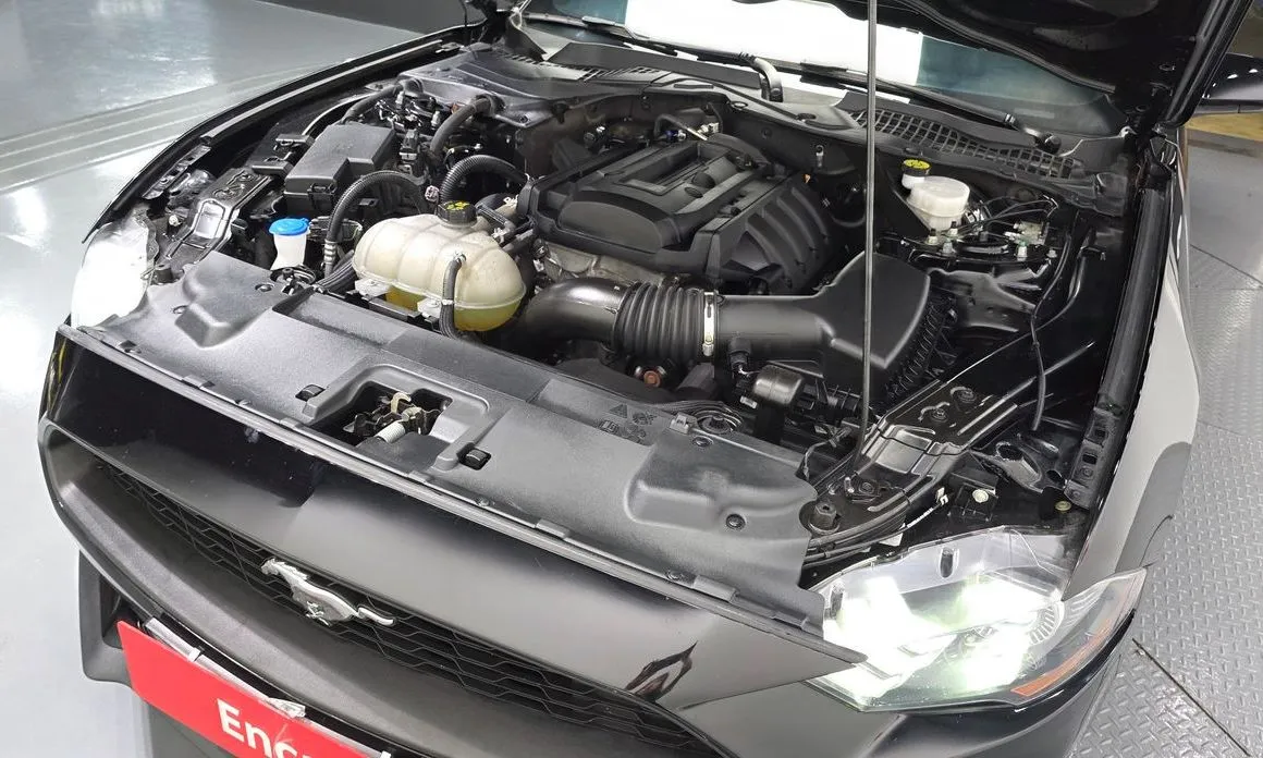 Ford Mustang 2022 из KR, фото 10