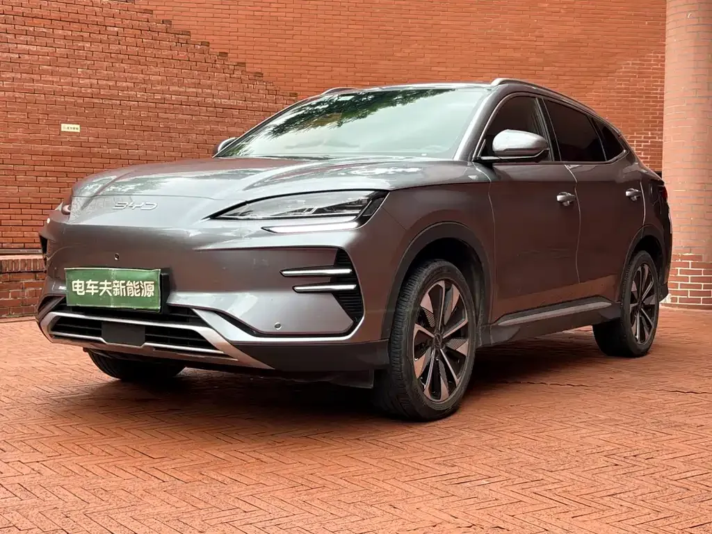BYD PLUS New Energy — фото 1