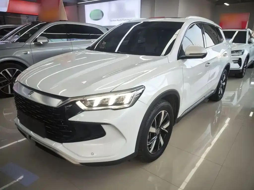 BYD Pro New Energy — фото 1