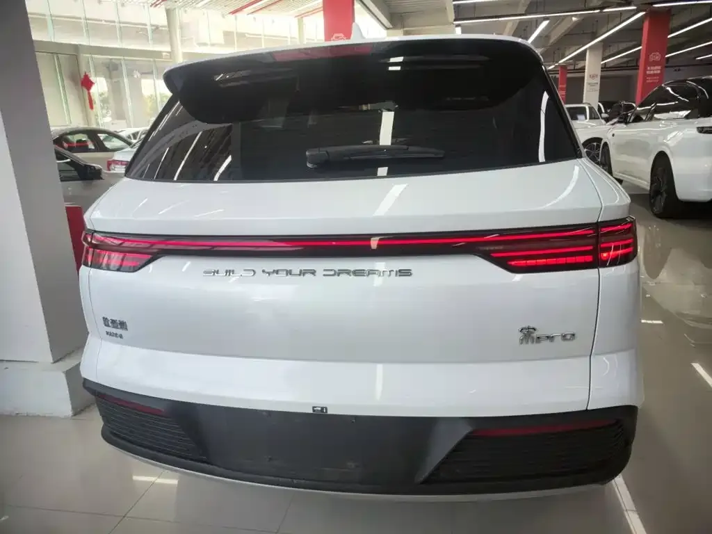 BYD Pro New Energy — фото 5