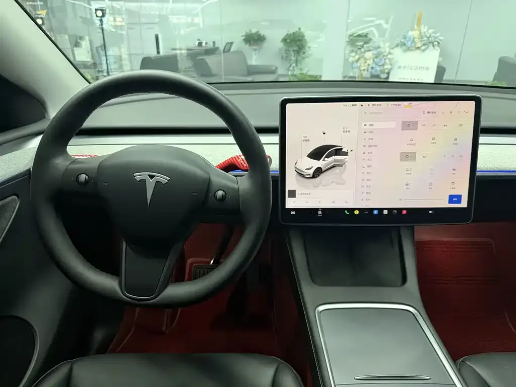 Tesla Model Y — фото 10