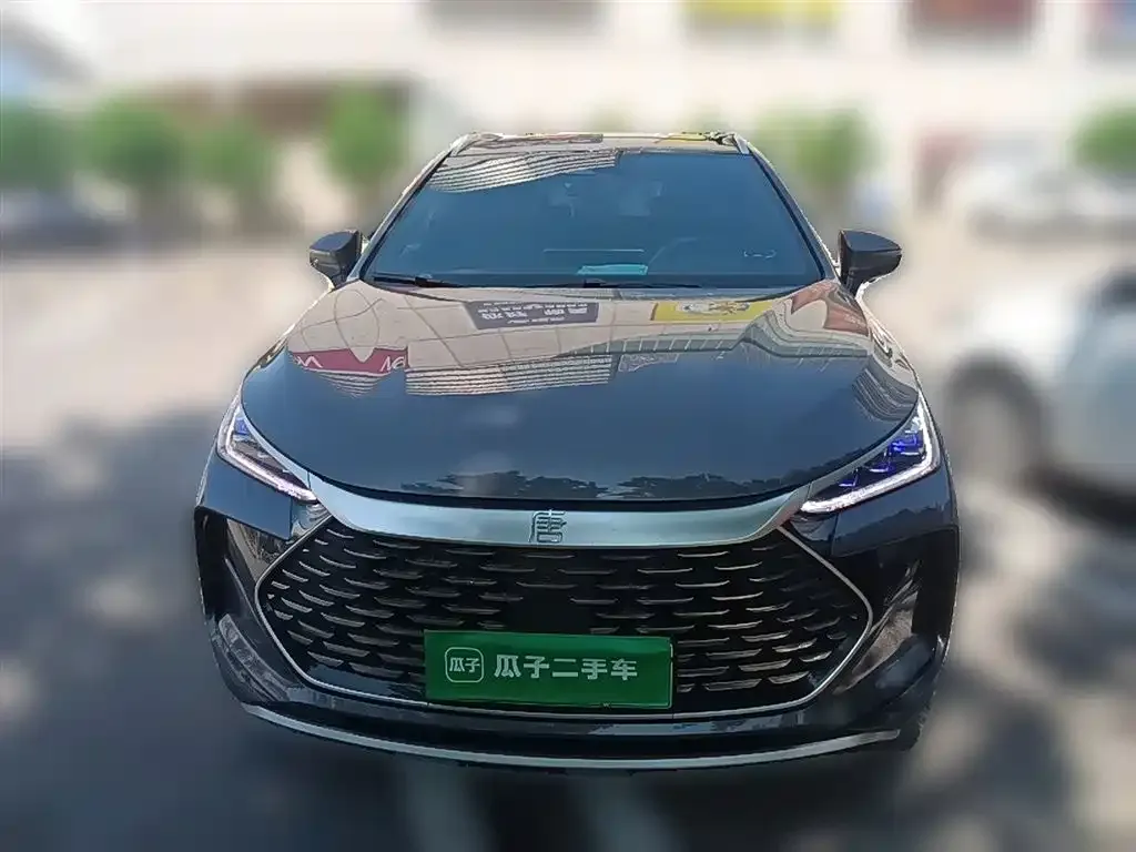 BYD Tang New Energy — фото 9