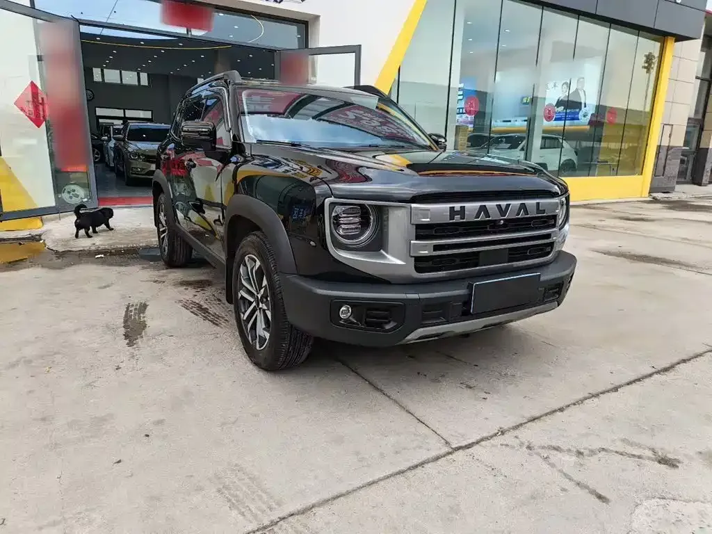 Haval Big Dog — фото 10