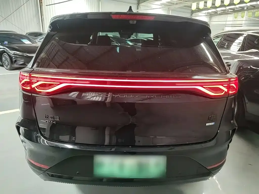 BYD Tang New Energy — фото 10