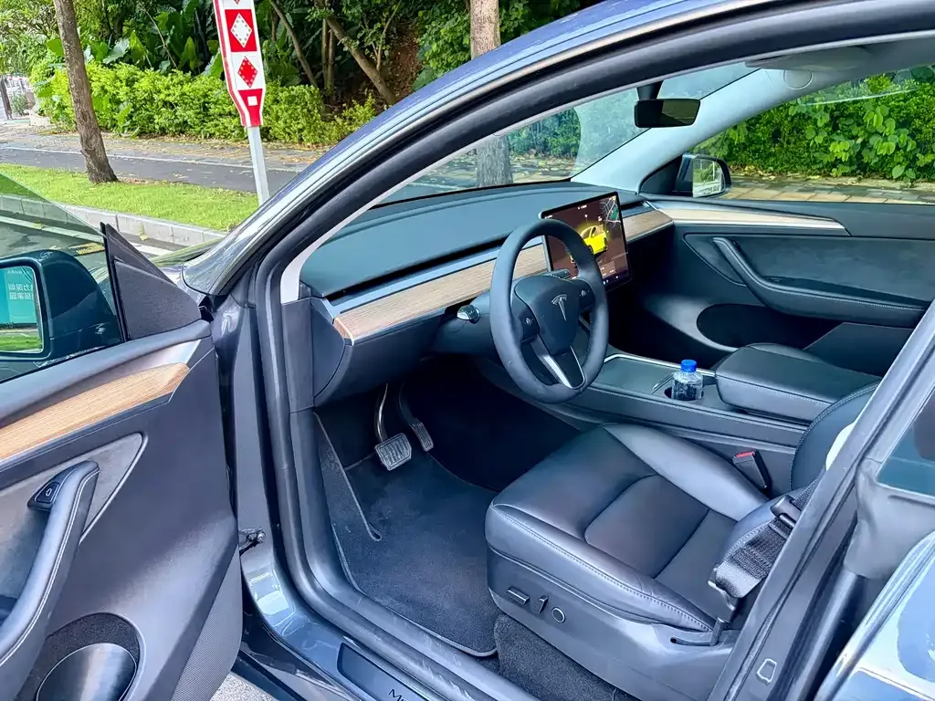 Tesla Model Y — фото 6