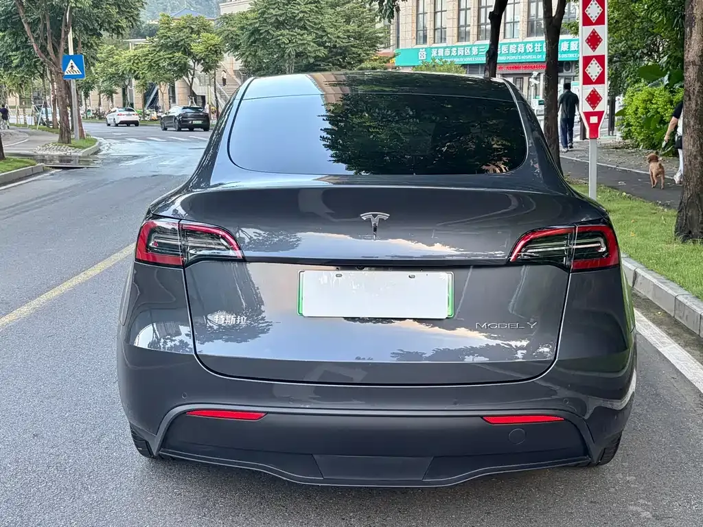 Tesla Model Y — фото 2