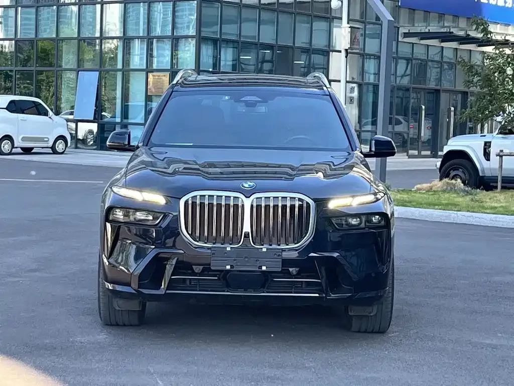 BMW X7 — фото 7