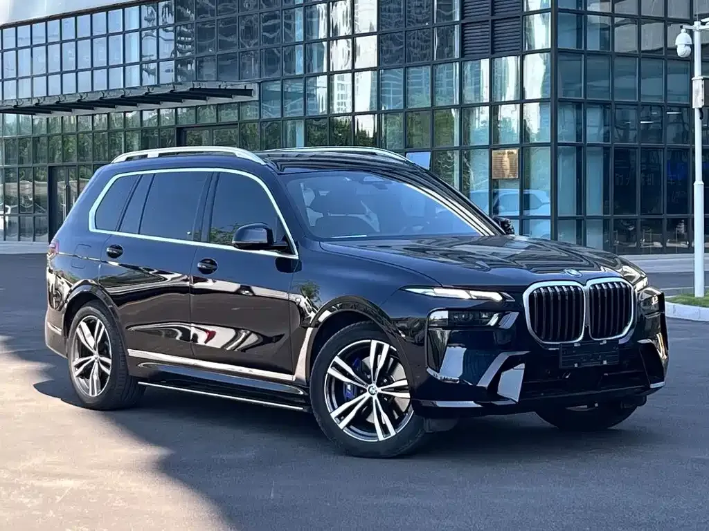 BMW X7 — фото 9