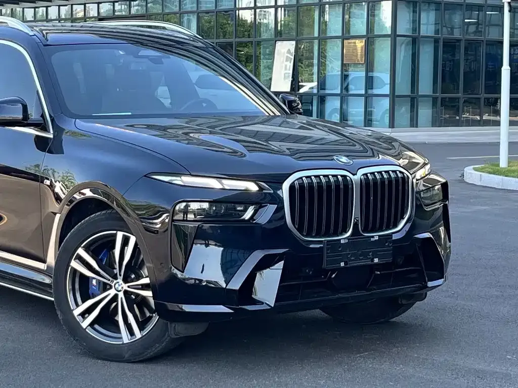 BMW X7 — фото 2