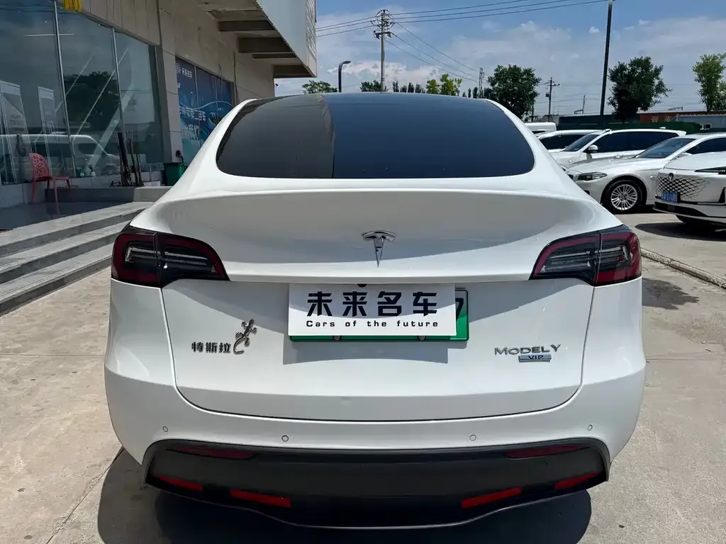 Tesla Model Y — фото 10