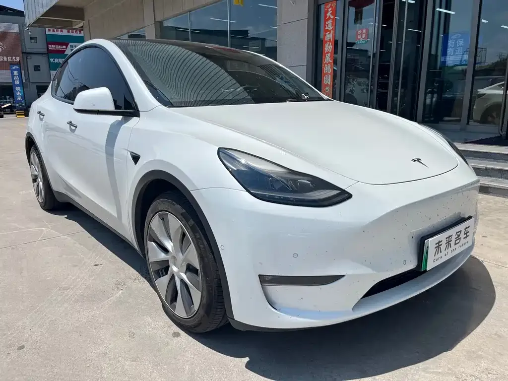 Tesla Model Y — фото 9