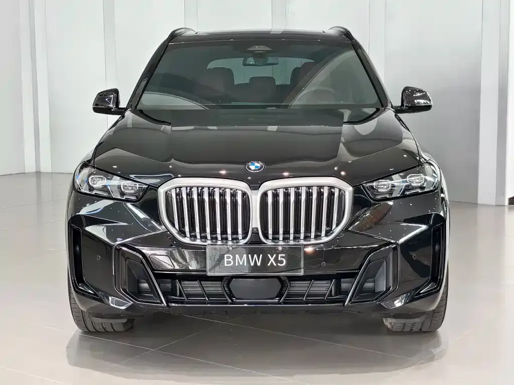 BMW X5 — фото 8