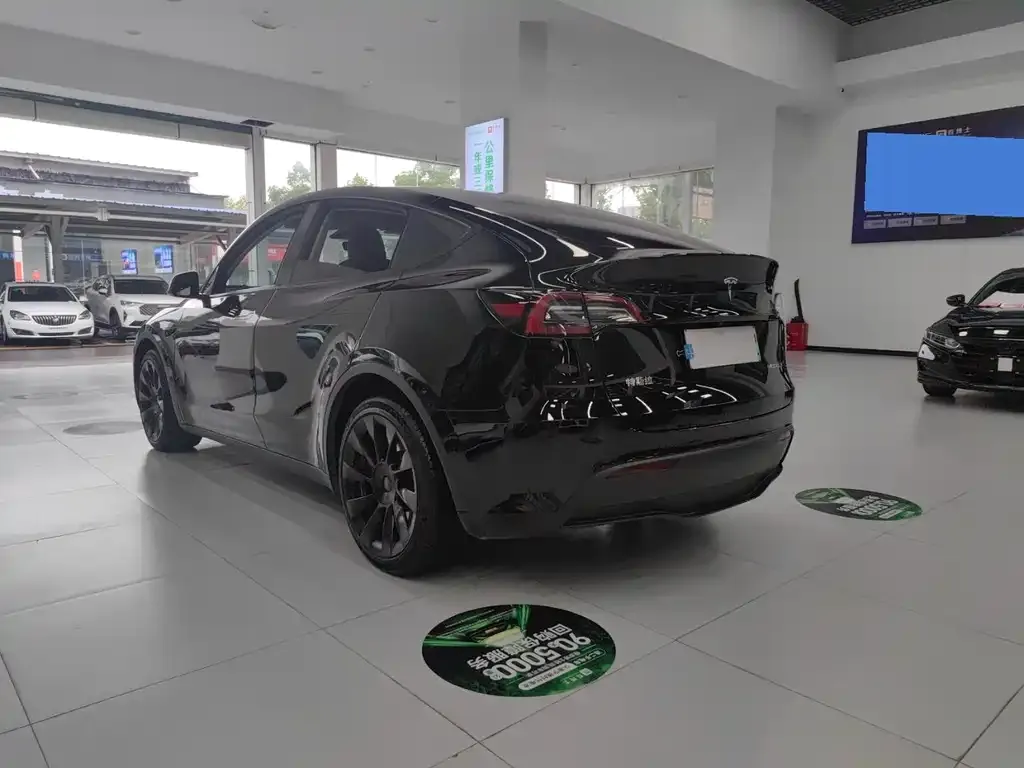 Tesla Model Y — фото 8