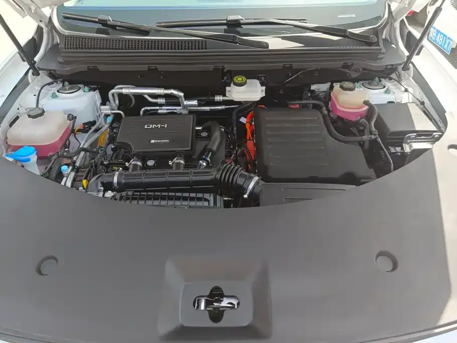 BYD Pro New Energy — фото 2