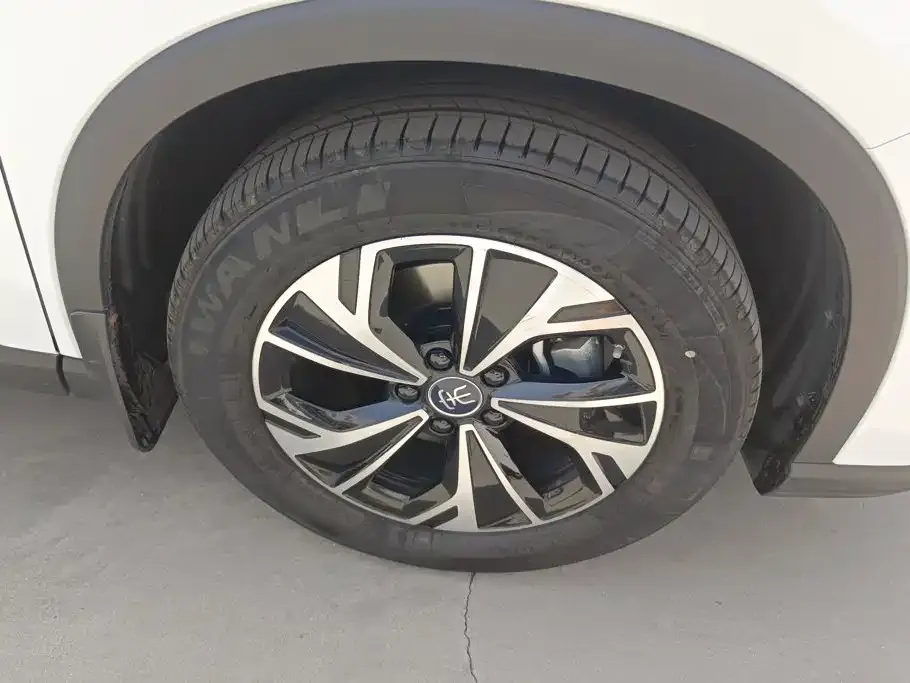 BYD Pro New Energy — фото 4
