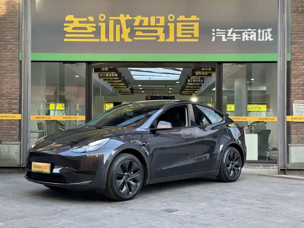 Tesla Model Y — фото 1