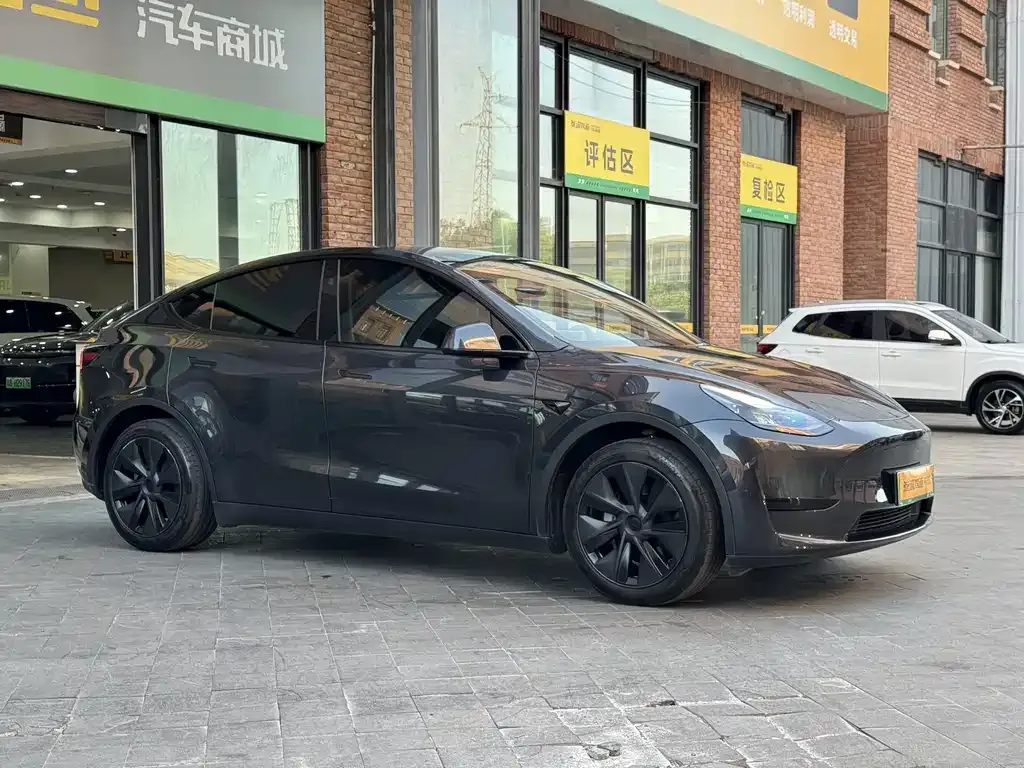 Tesla Model Y — фото 8